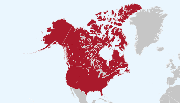 North America Coverage Service